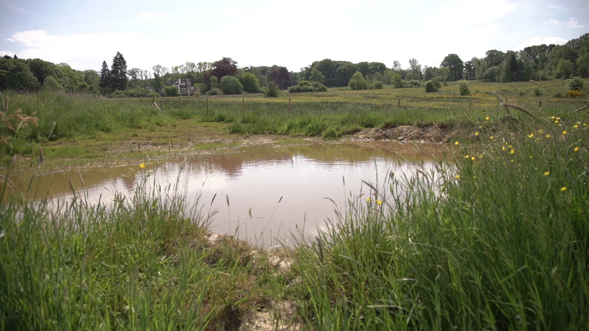 Ramener de la biodiversité dans nos campagnes